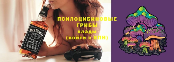 ПСИЛОЦИБИНОВЫЕ ГРИБЫ Кодинск