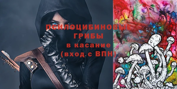ПСИЛОЦИБИНОВЫЕ ГРИБЫ Кодинск